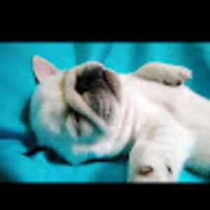 Meet your Posher, Skyler